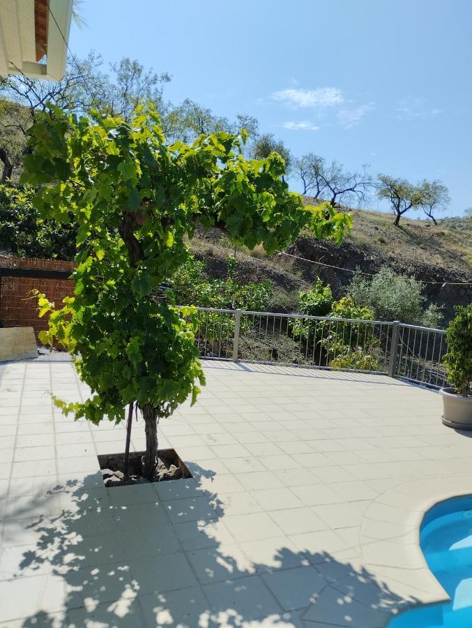 Villa Las Vinas Málaga Exteriör bild