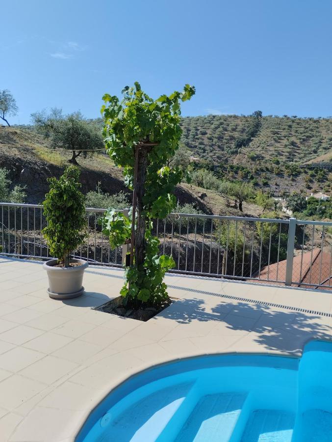 Villa Las Vinas Málaga Exteriör bild